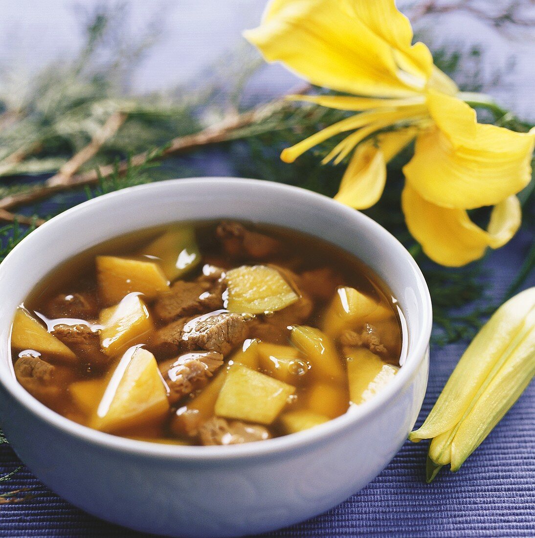 Beef and pumpkin soup