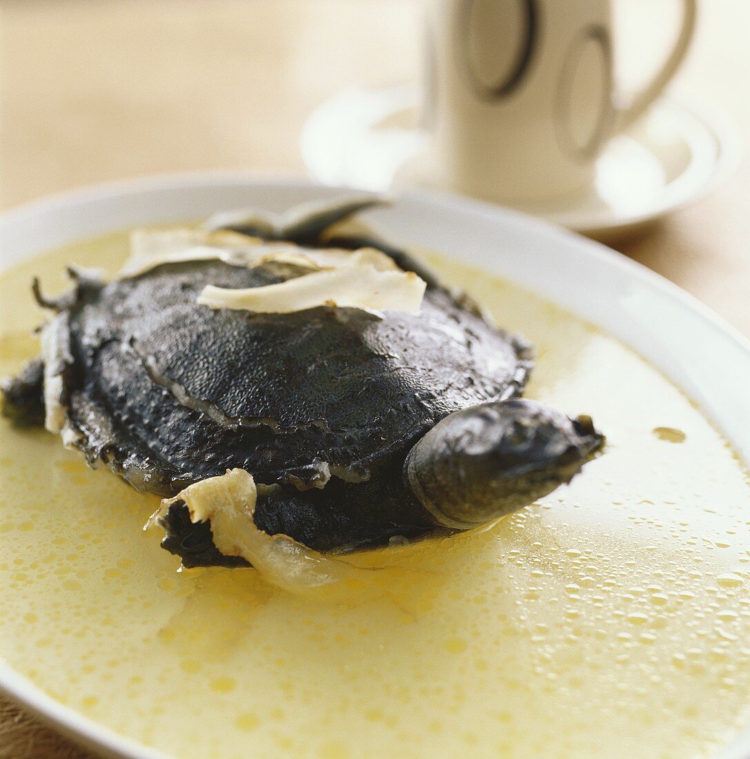 Cooked turtle with Tian ma