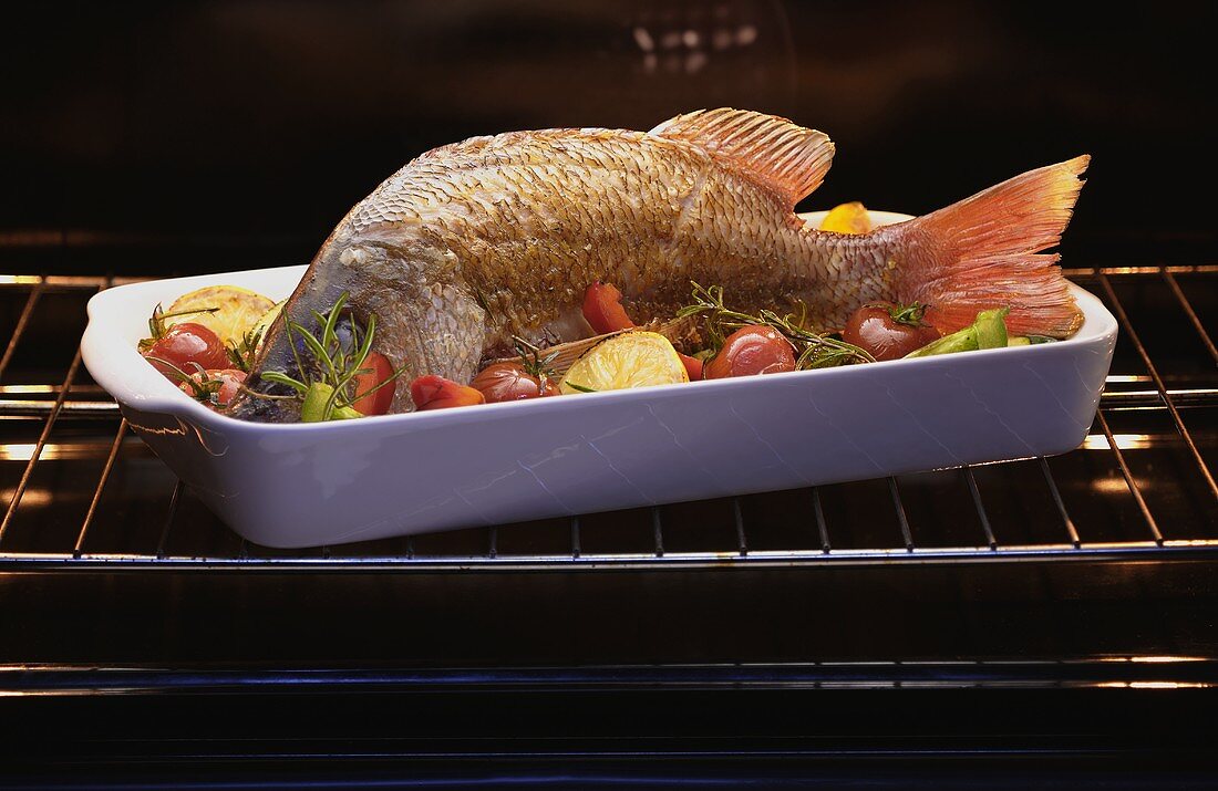 A red snapper in the oven
