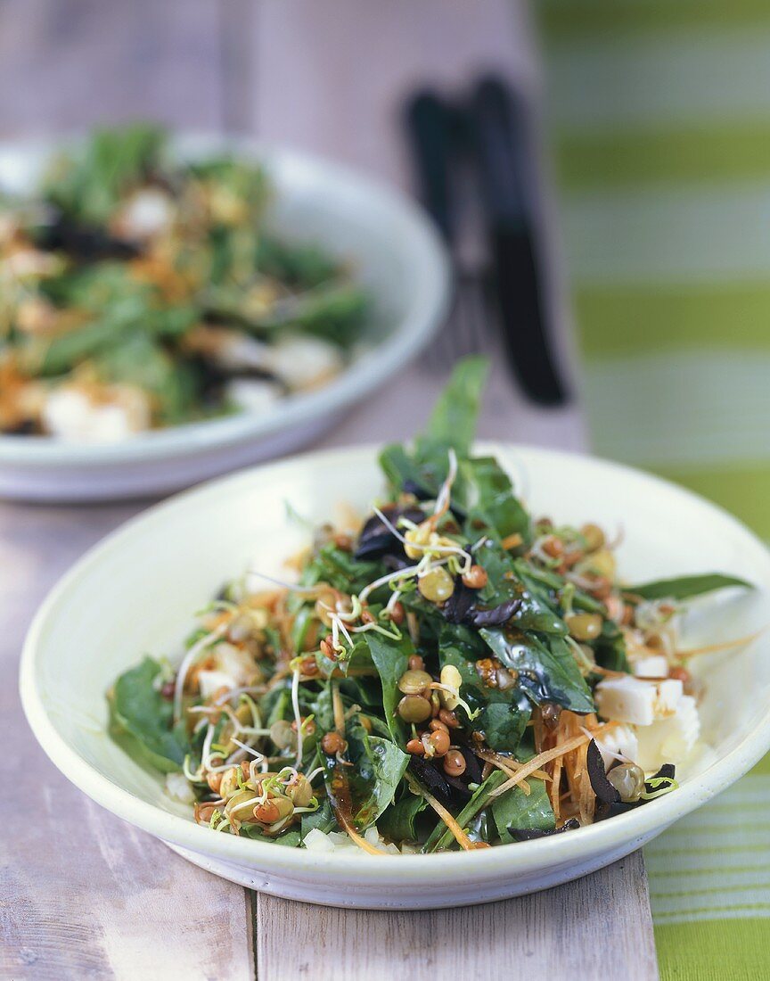 Spinat-Linsen-Salat mit Feta
