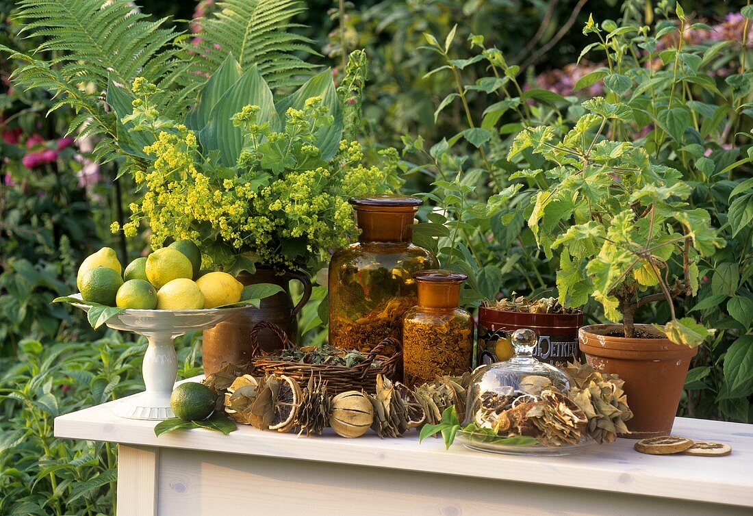 Getrocknete Kräuter und Zitrusfrüchte auf Gartentisch