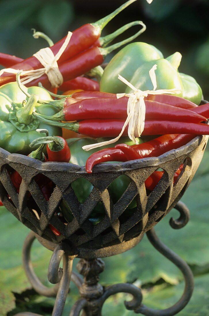 Rote Chillies und grüne Paprika in dekorativer Schale