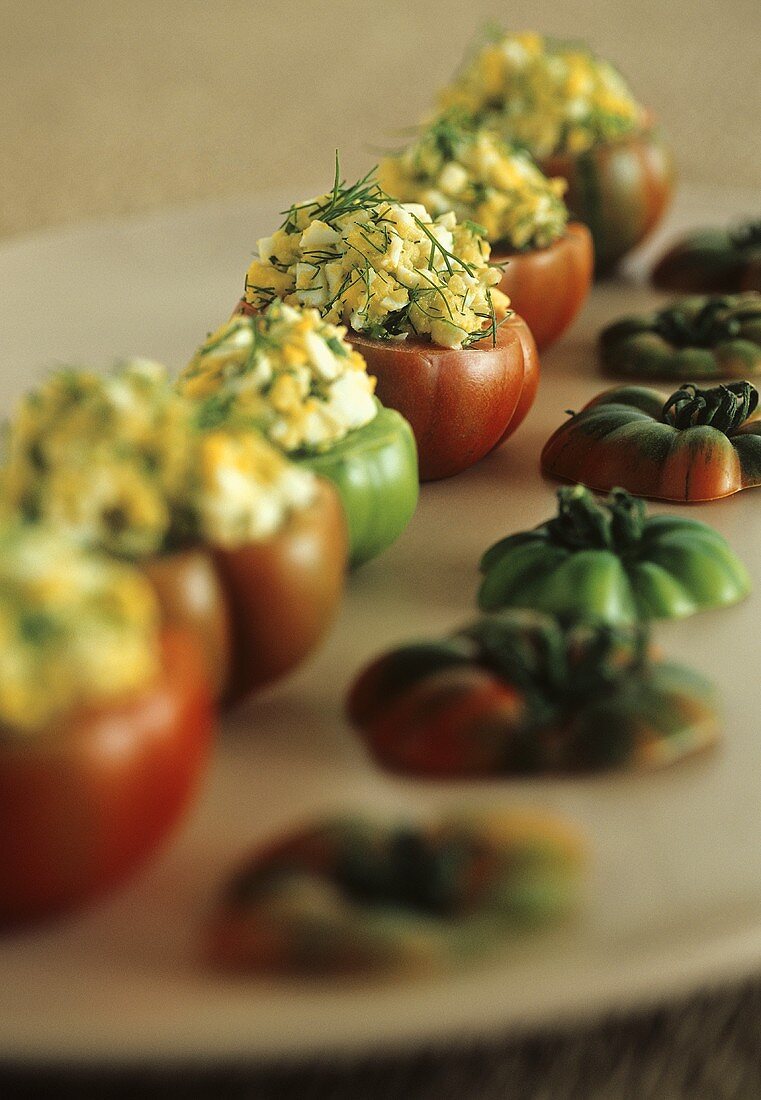 Tomatoes stuffed with bread and egg stuffing and herbs