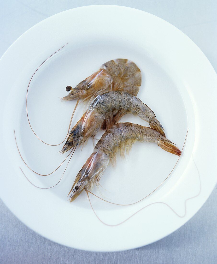 Three shrimps on a plate