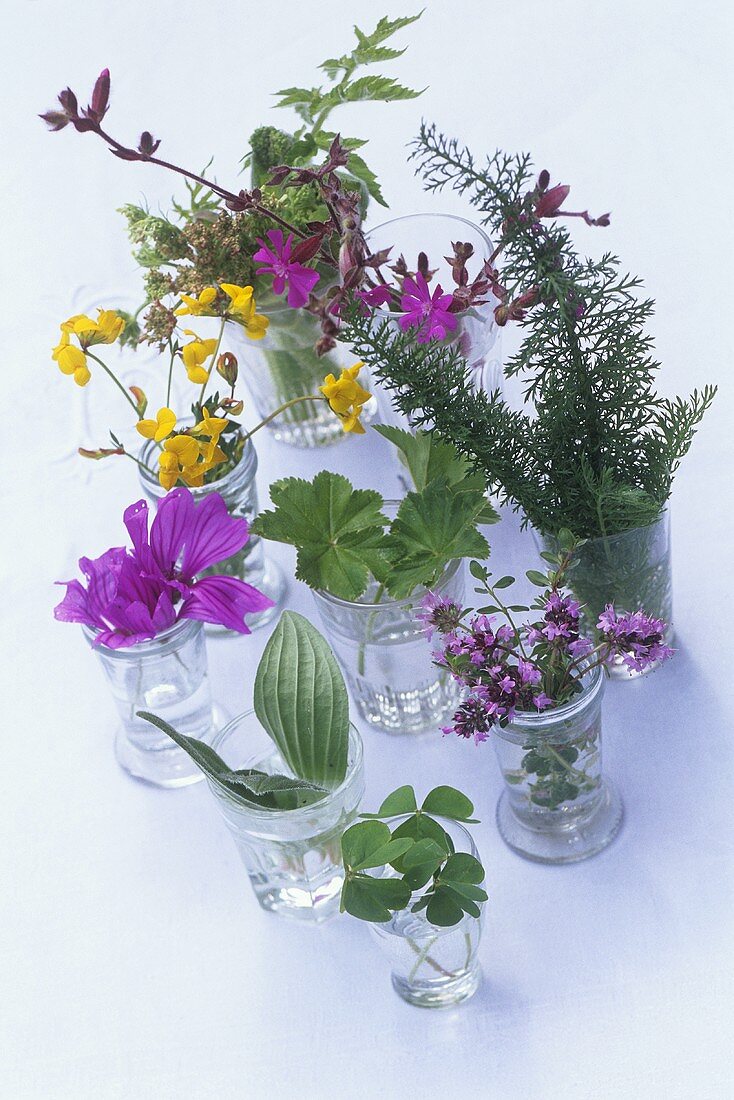 Edible leaves and flowers in glasses of water
