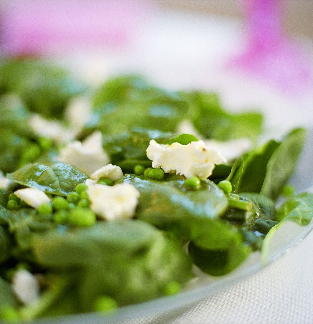 Pea and spinach salad with sheep's cheese