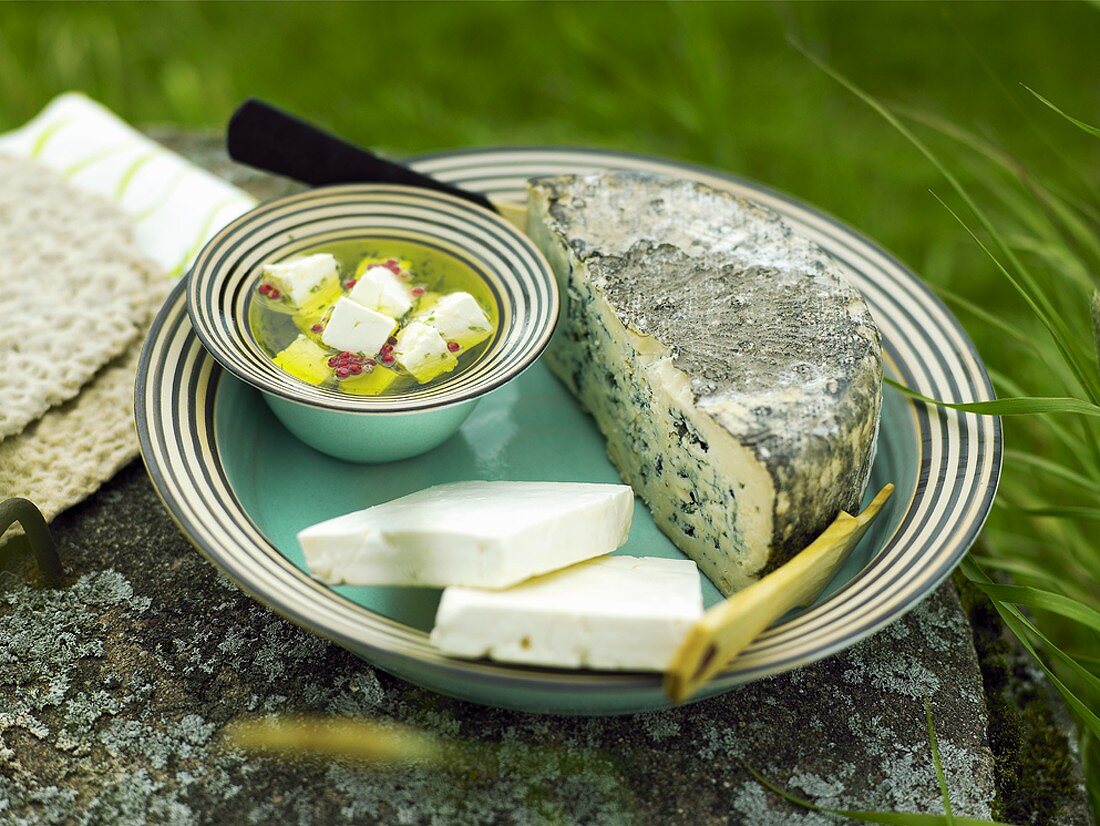 Small cheese platter with blue cheese and sheep's cheese