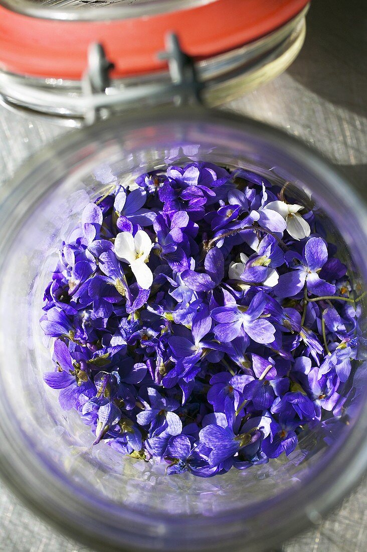Violets (edible flowers) in a preserving jar