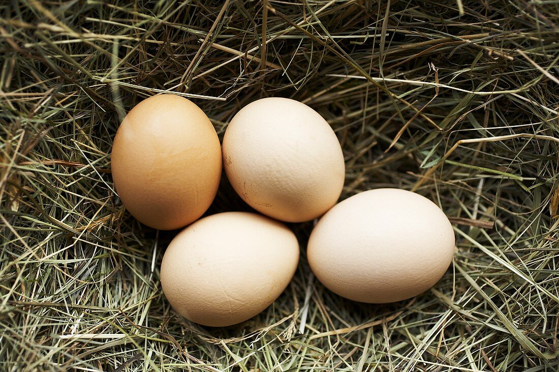 Four hens' eggs on straw