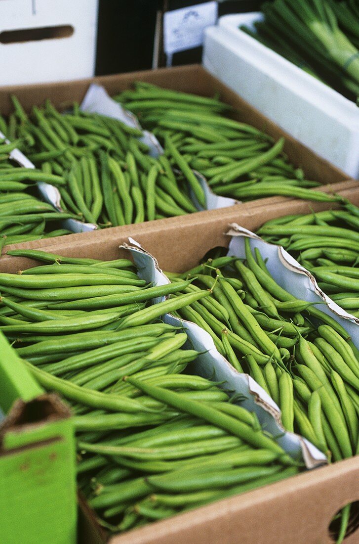 French beans in boxes on a market stall