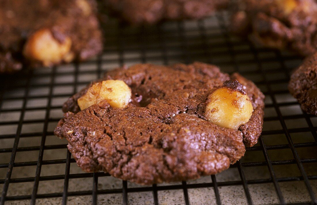 Schoko-Nuss-Plätzchen (Macadamia nut chocolate cookies)