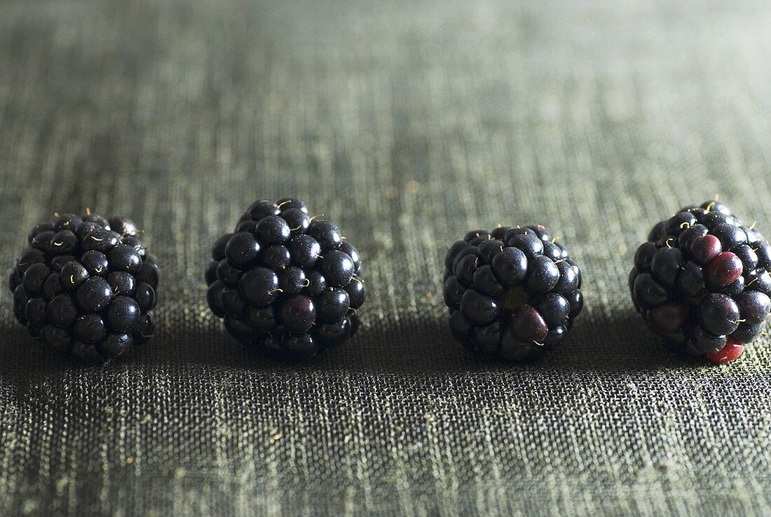 Four blackberries in a row