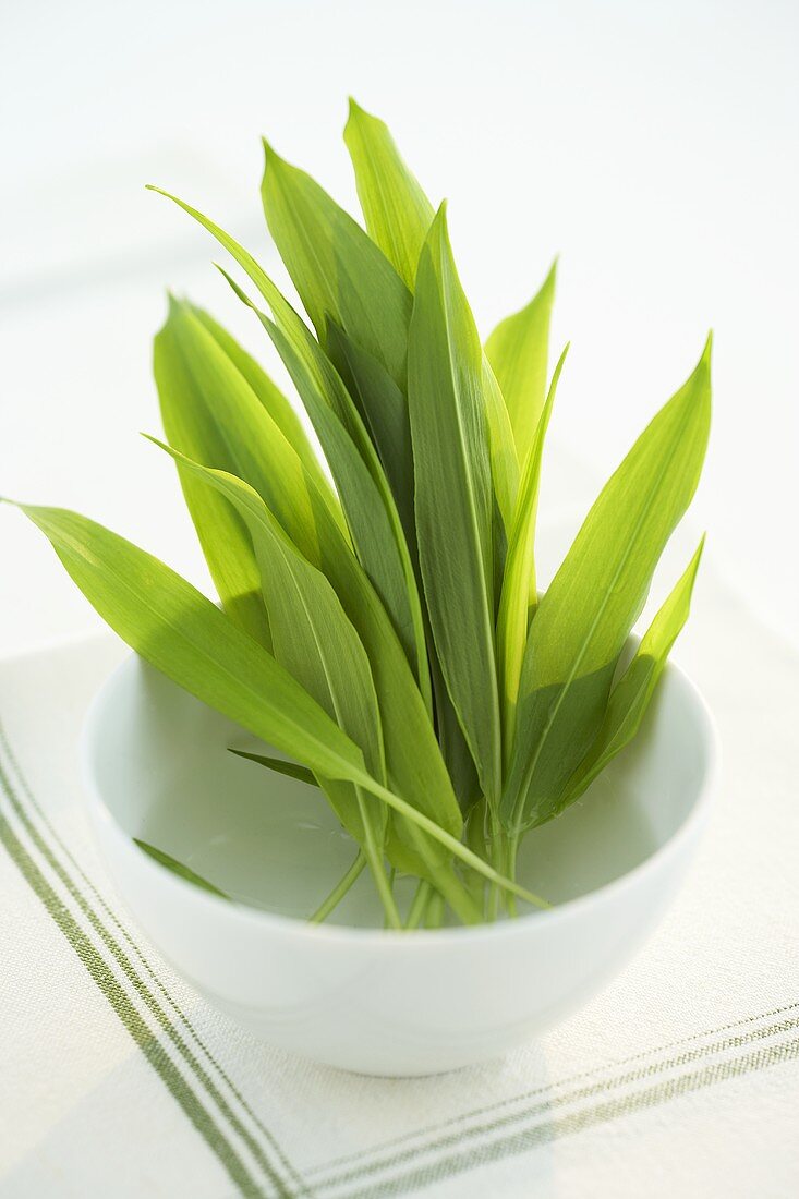 Fresh ramsons (wild garlic) leaves in a small bowl