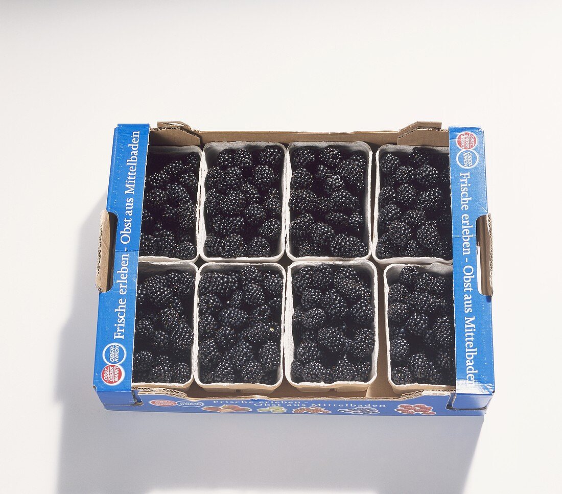 Blackberries in a crate