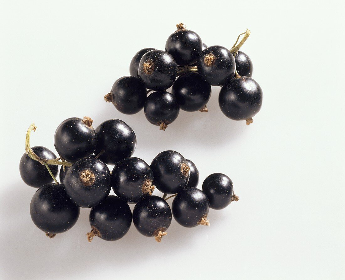 Blackcurrants on light background