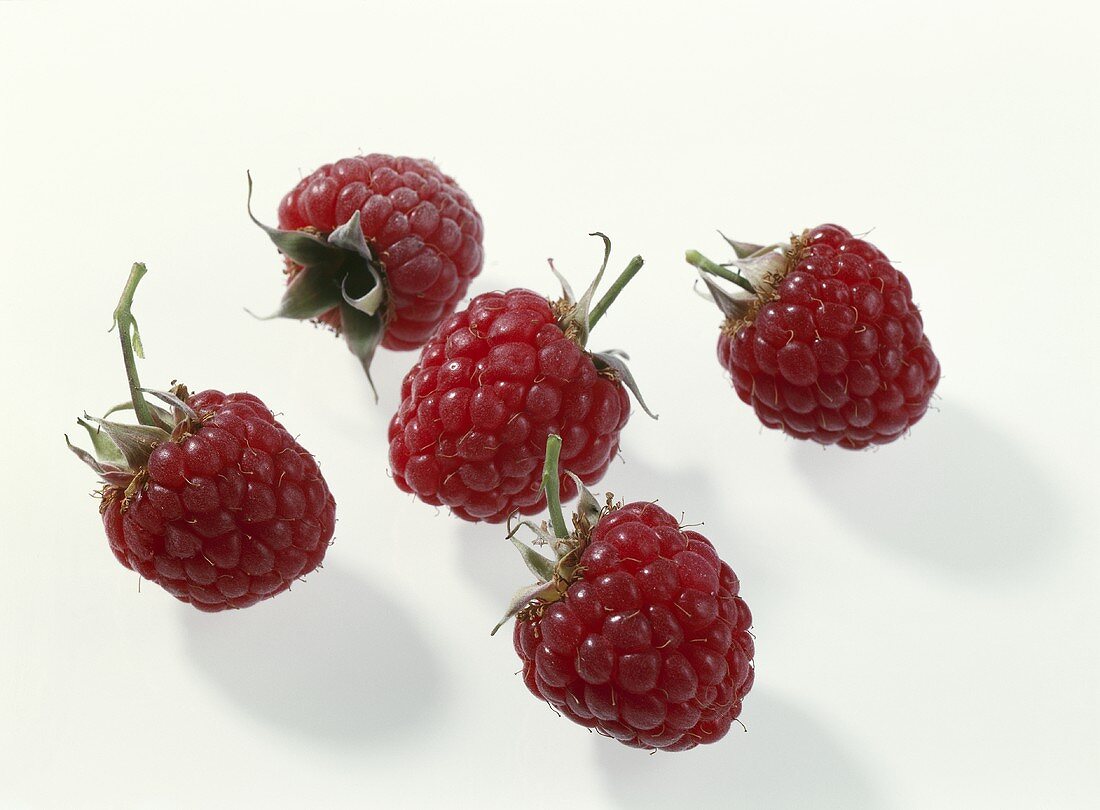 Five raspberries on white background