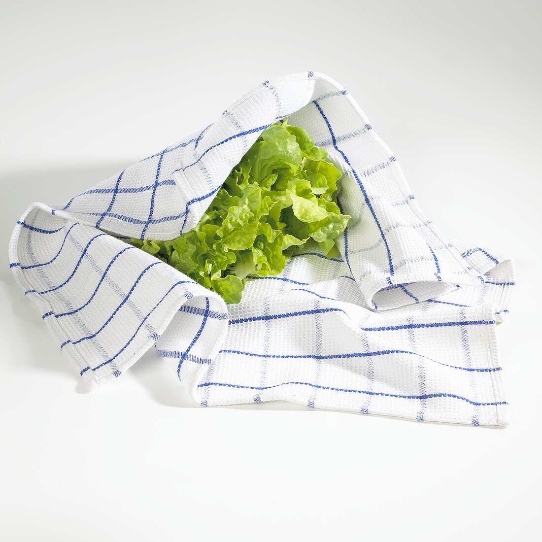 Fresh lettuce in tea towel