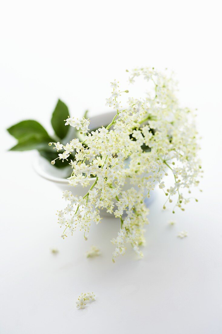 Elderflowers in a small bowl