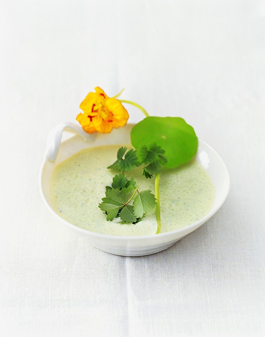 Herb soup with fresh nasturtium and salad burnet