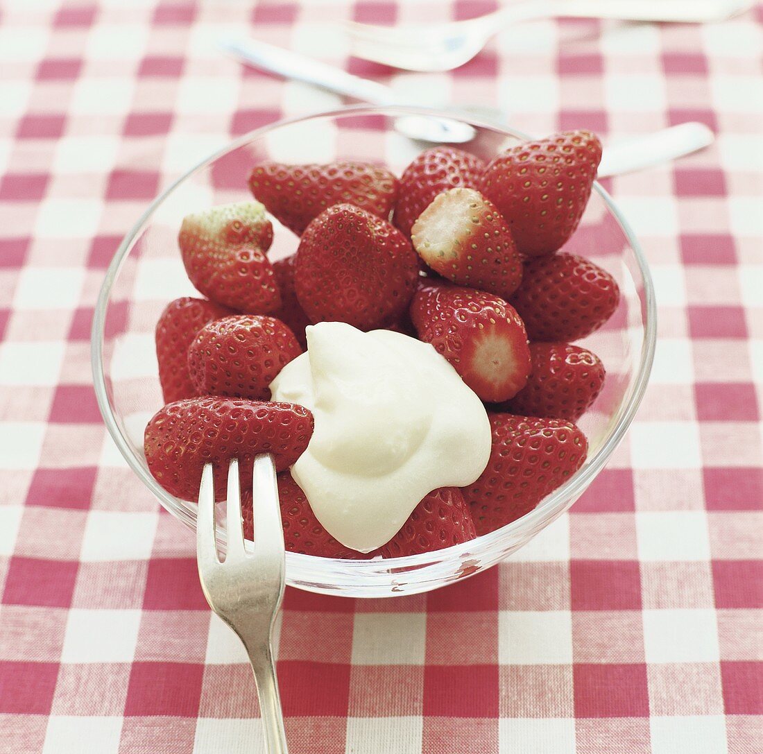 Frische Erdbeeren mit Vanillecreme