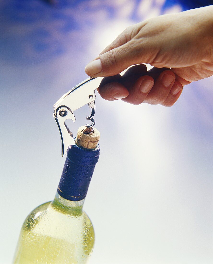 Eine Flasche Weißwein öffnen