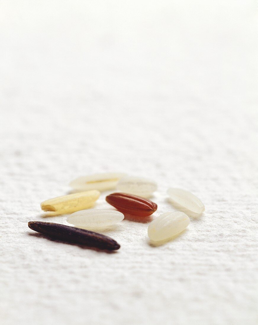 Individual grains of different types of rice
