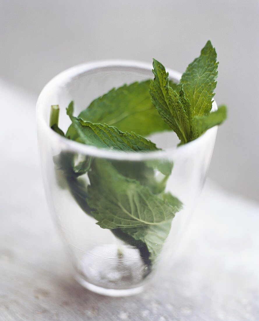 Fresh mint in glass
