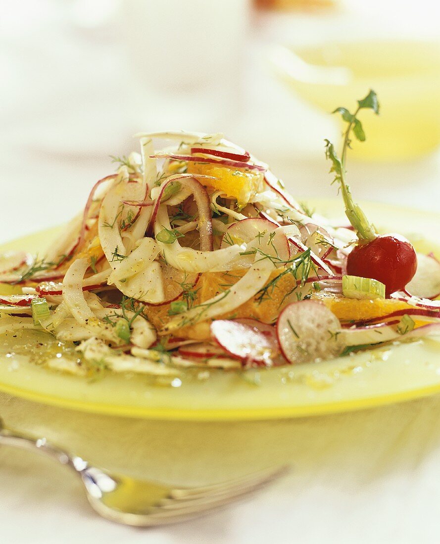 Orangen-Fenchel-Salat mit Radieschen
