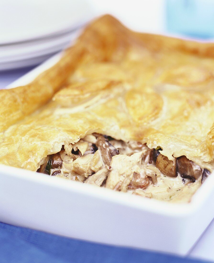 Chicken and mushroom pie