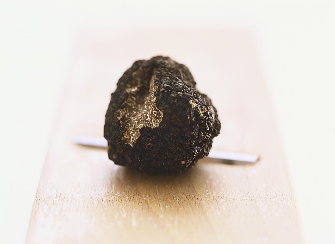 Perigord truffle on wooden board