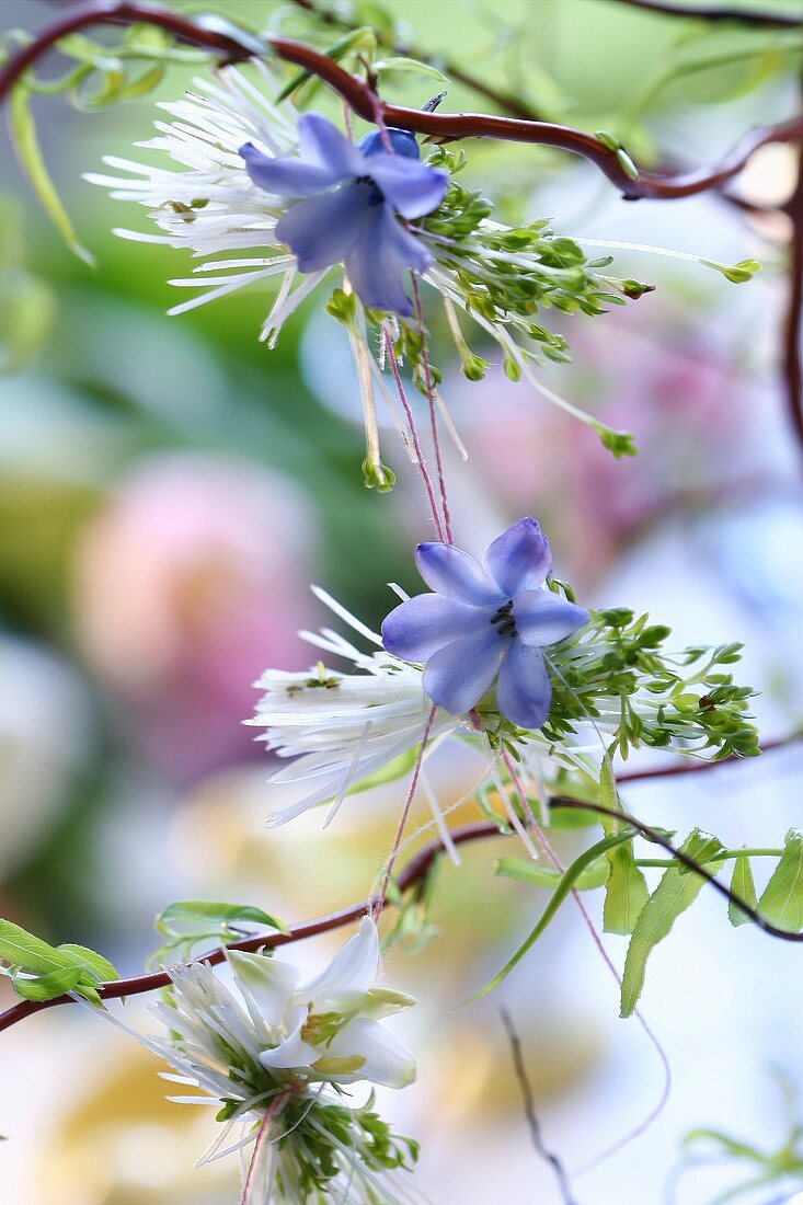 Cress and flower mobile on branch