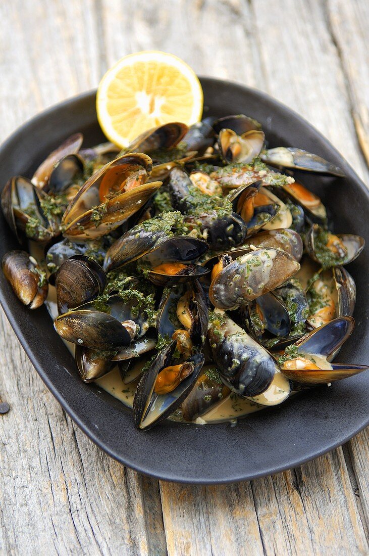 Mussels with herbs in white wine and cream