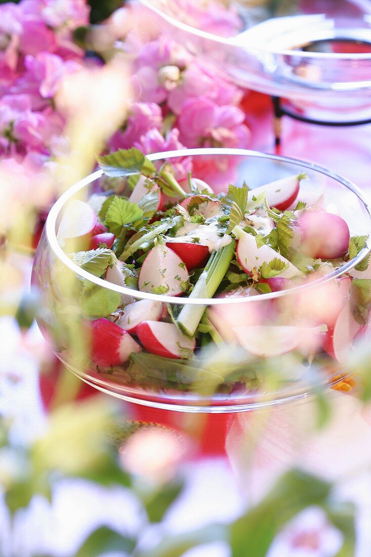 Spring salad with birch leaves and radishes