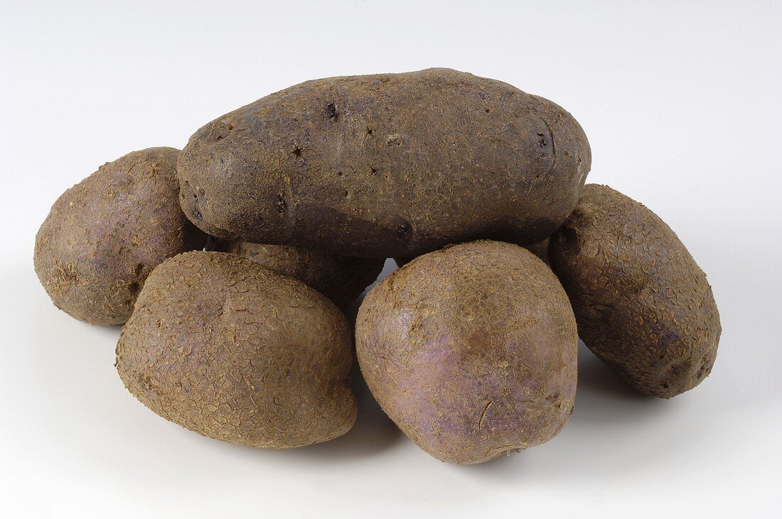 Mehrere Kartoffeln der Sorte 'Edzell Blue'