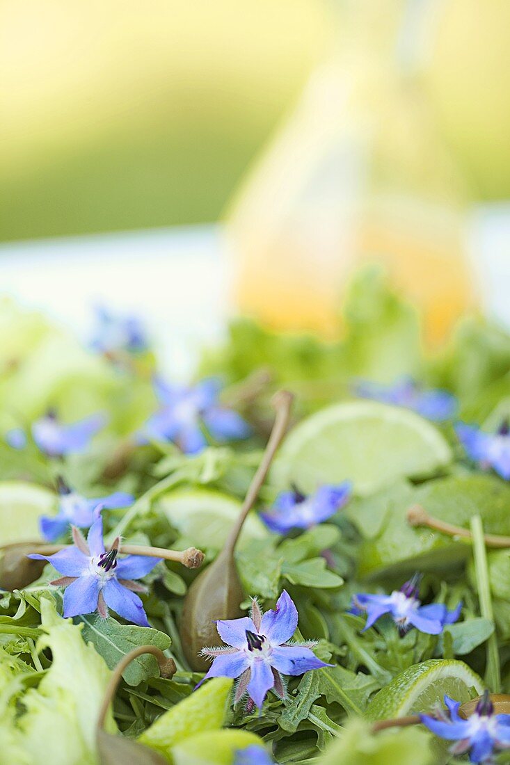 Sommersalat mit Kapern und Limette