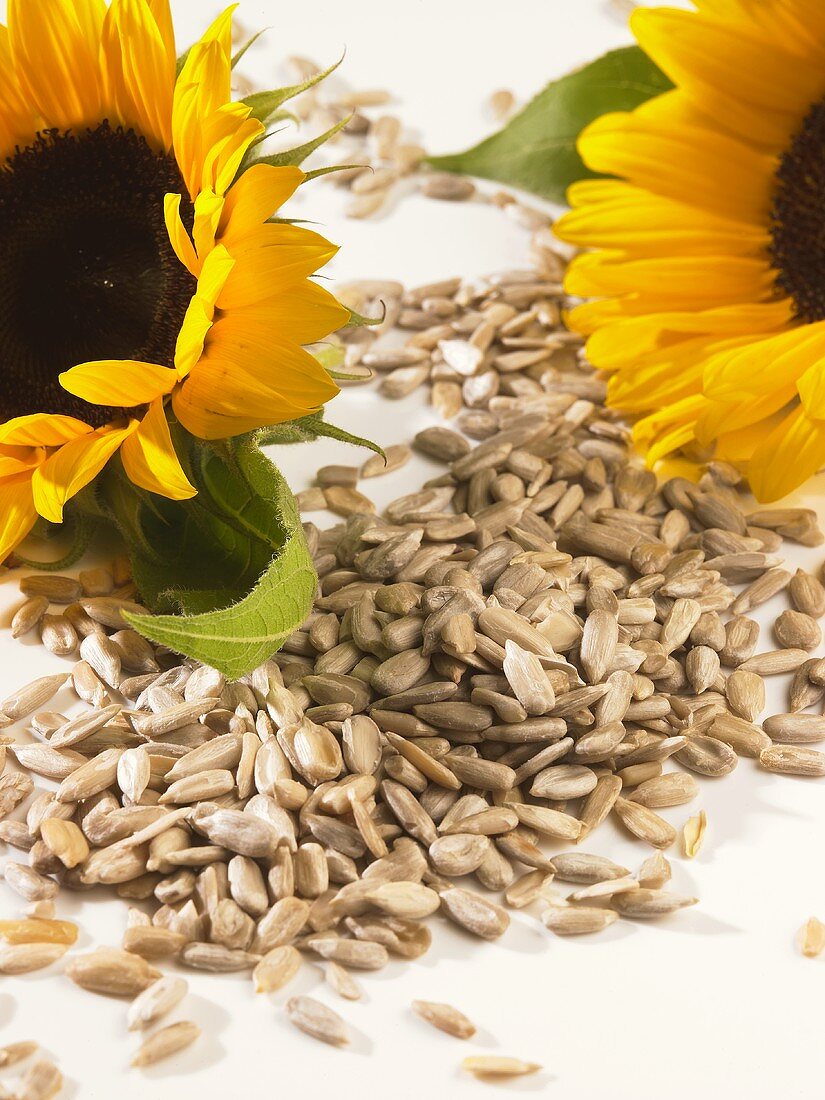 Sunflower seeds and two sunflowers