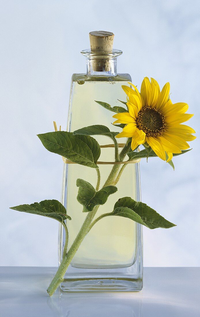 Eine Flasche Sonnenblumenöl mit Sonnenblume