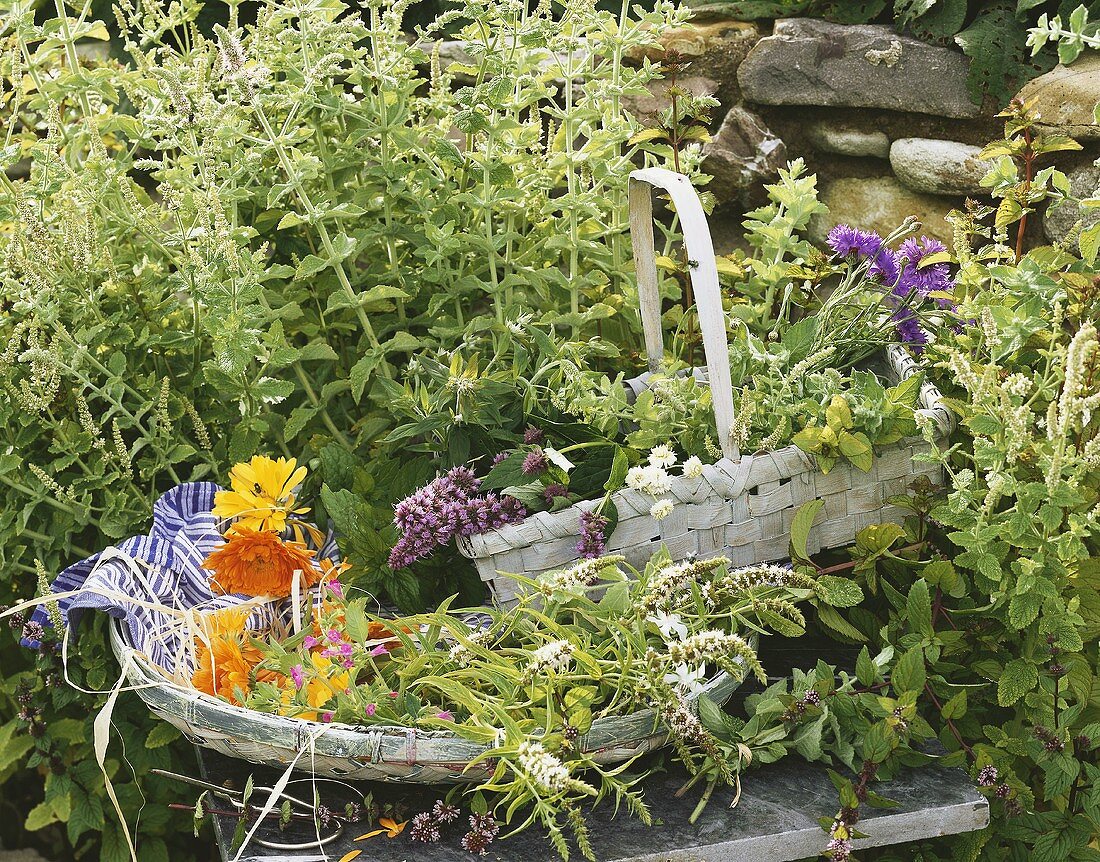 Two baskets of fresh mint and flowers