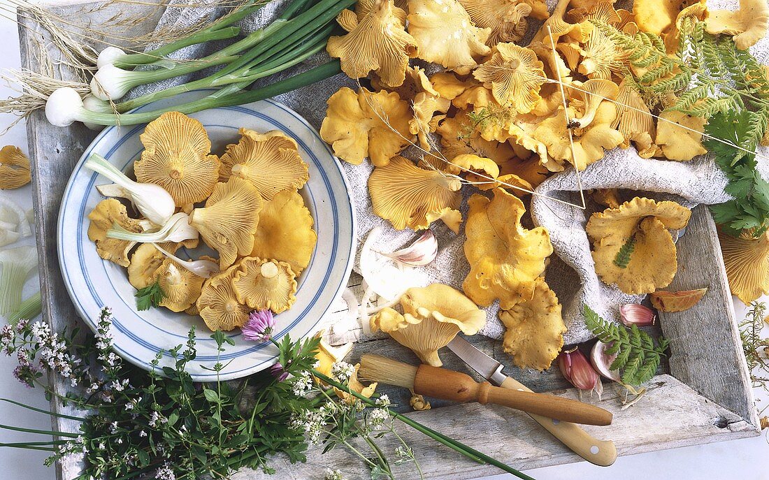 Chanterelles with spring onions and herbs