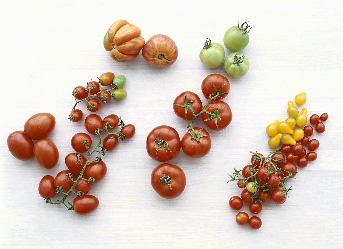 Various types of tomatoes on light background