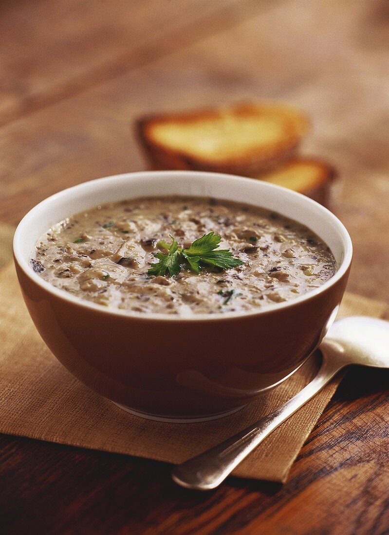 Mushroom soup