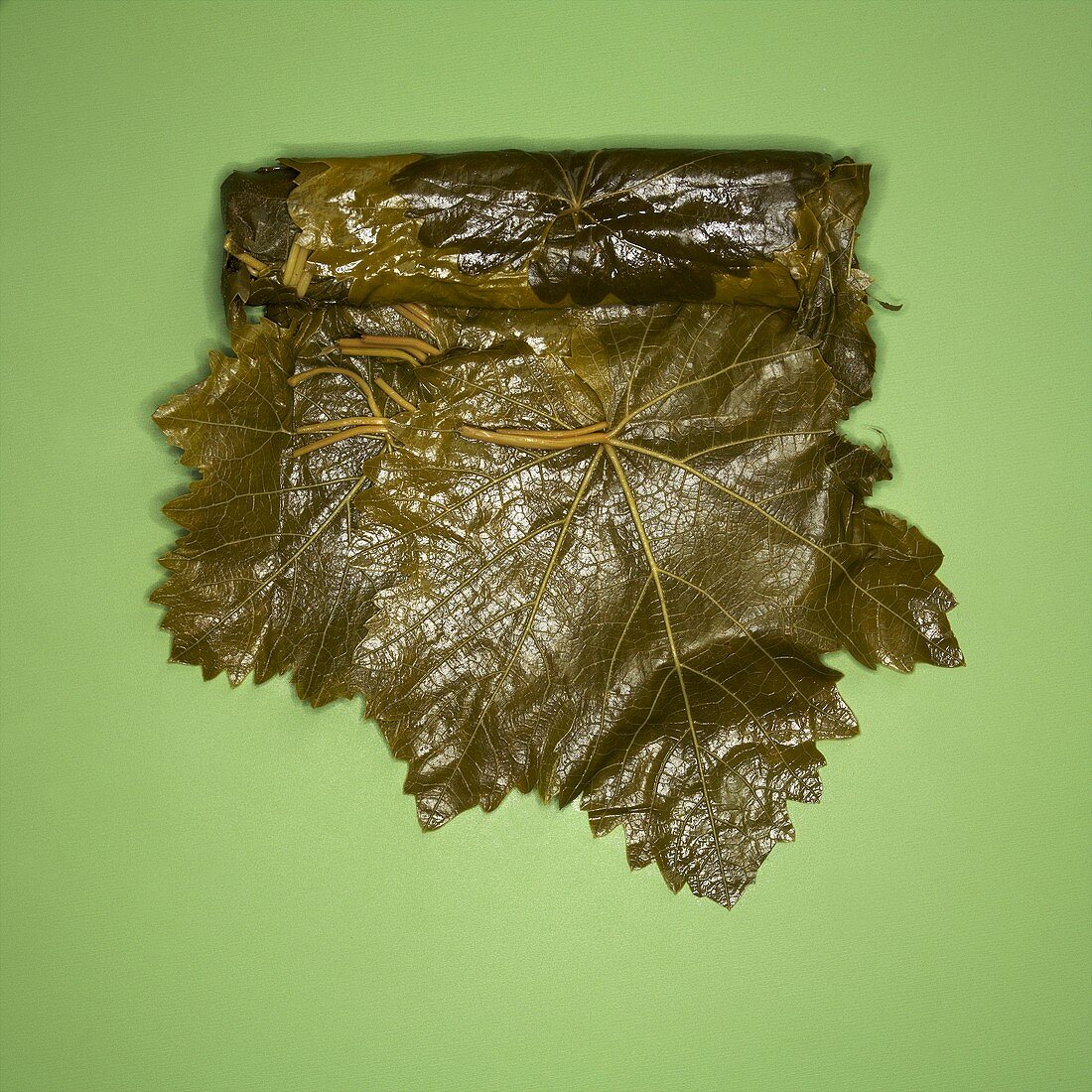 Vine leaves pickled in brine