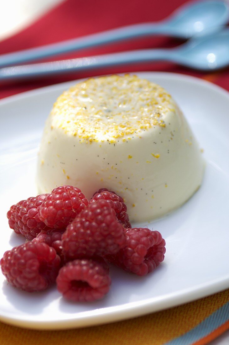 Panna cotta con i lamponi (Moulded cream dessert with berries)