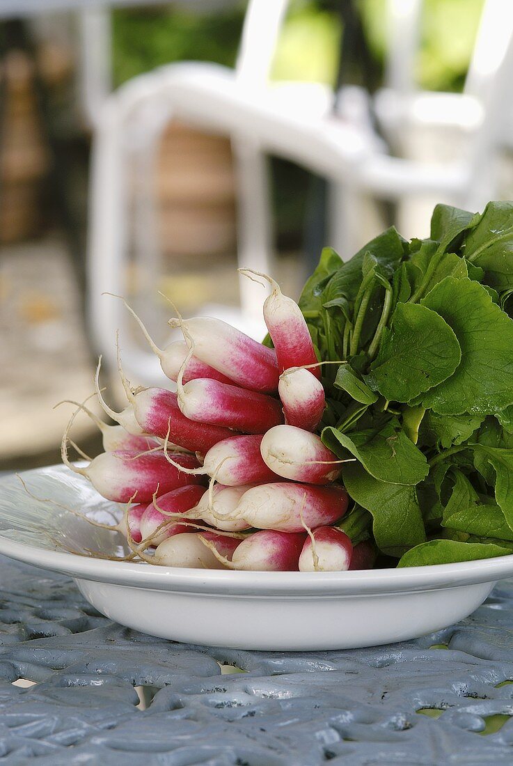 A bunch of radishes on a plate