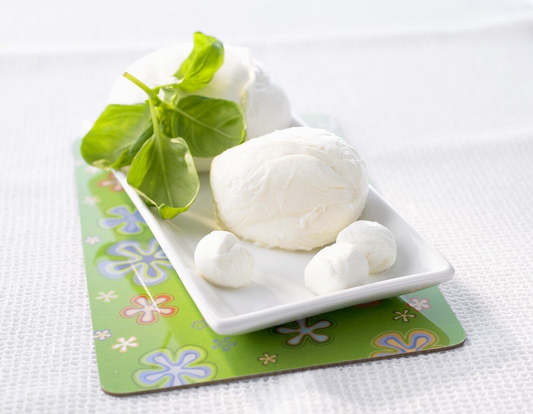 Fresh mozzarella and basil on a platter