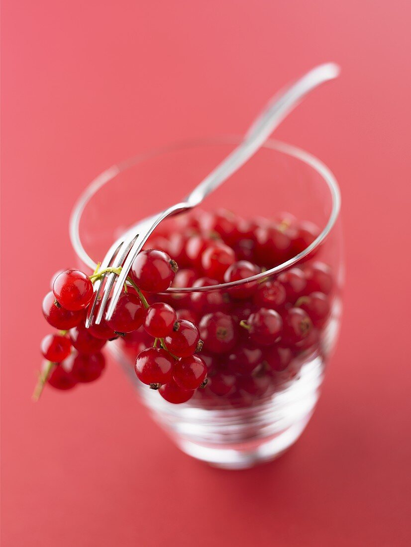 Redcurrants in a glass with fork