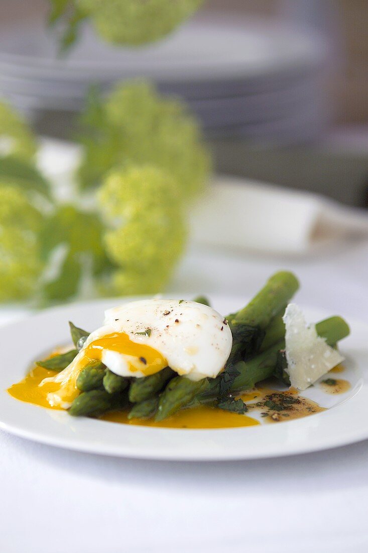 Green asparagus with soft-boiled egg