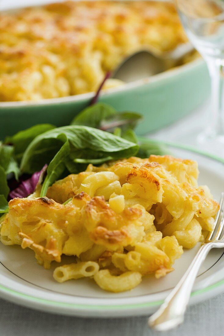 Nudel-Käse-Gratin mit Blattsalat