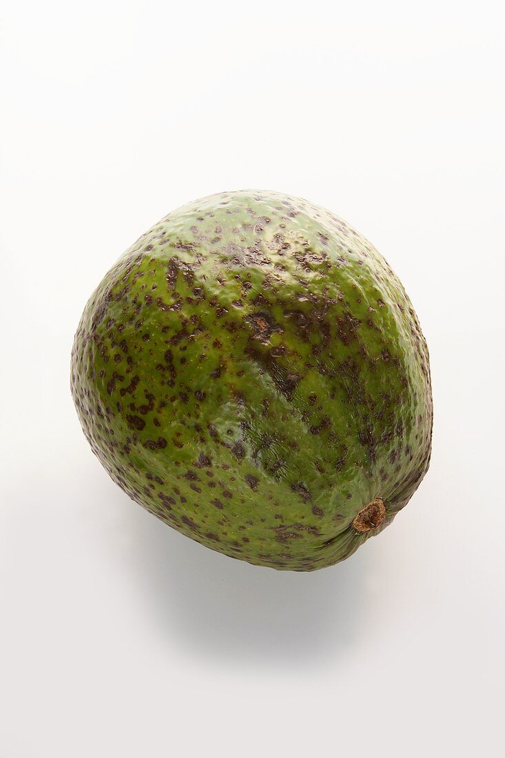 Eine Avocado (Brasilien)