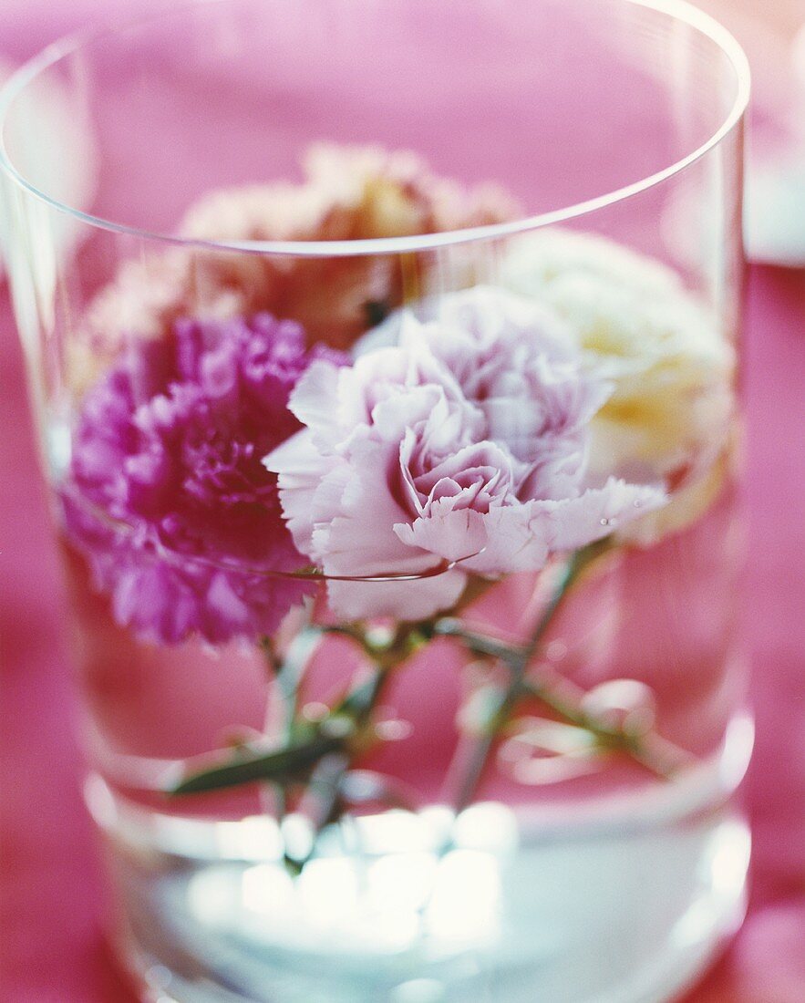 Blüten in einem Wasserglas